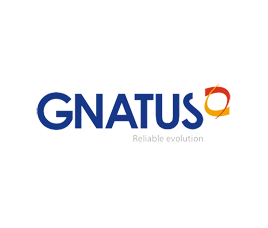 Gnatus